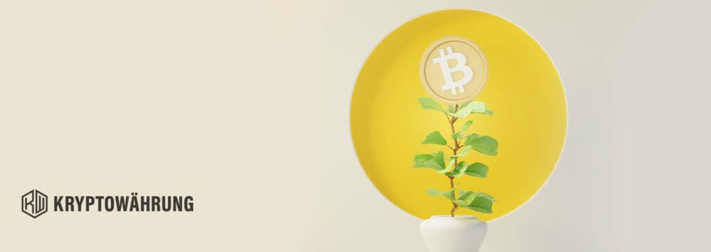 Bitcoin kaufen oder nicht Bitcoin kaufen oder nicht – lohnt sich eine Investition in BTC?
